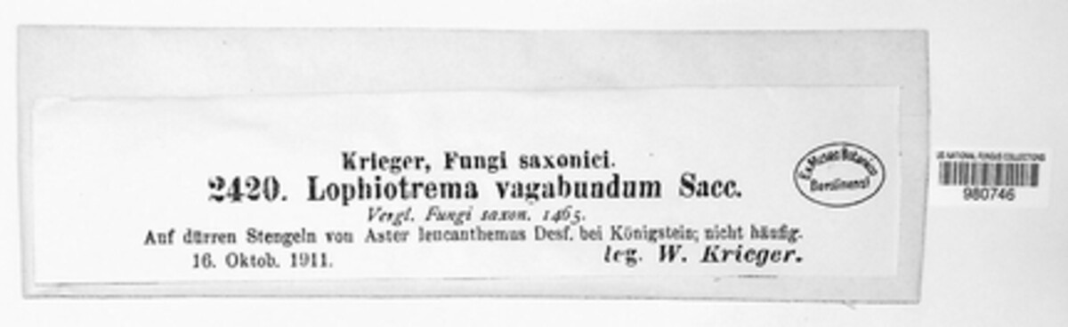 Lophiotrema image